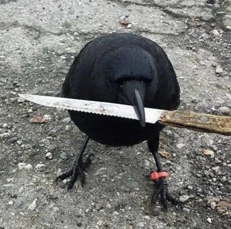 Necrowmancer